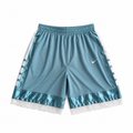 Dream Inspired Lace Shorts | Light Blue | XS